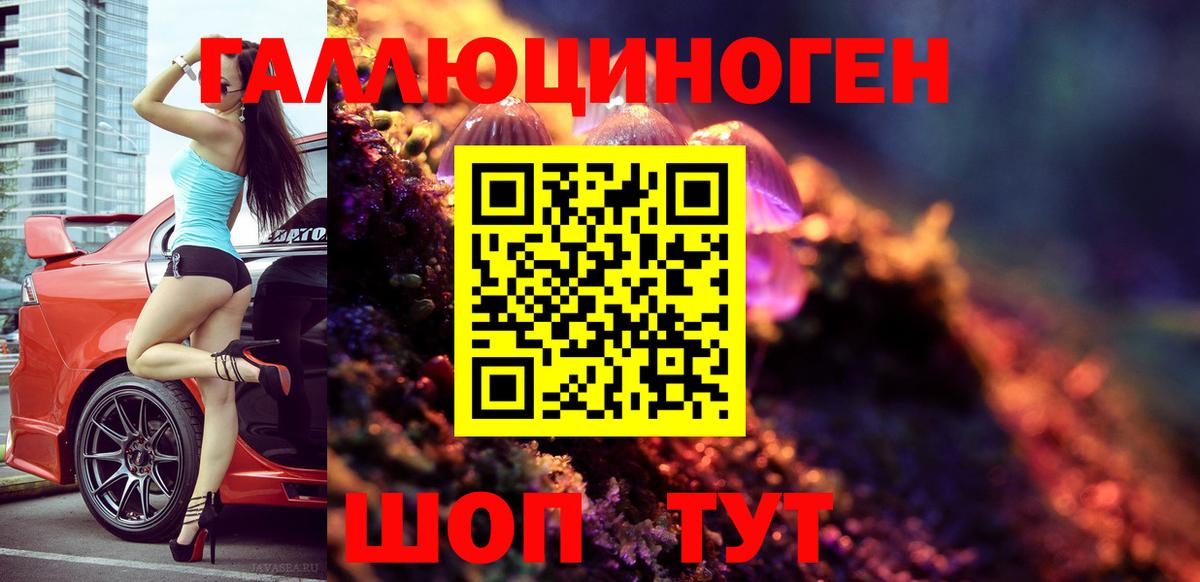 купить наркотики цена  Вход с VPN  Лесной  Псилоцибиновые грибы GOLDEN TEACHER 