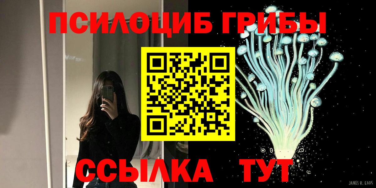 Псилоцибиновые грибы Psilocybe Лесной