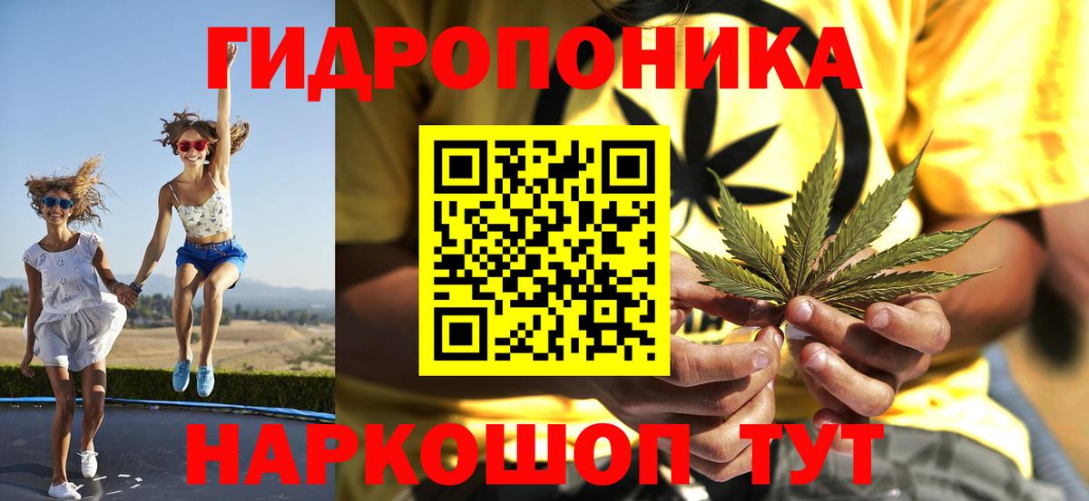 Бошки марихуана план Лесной